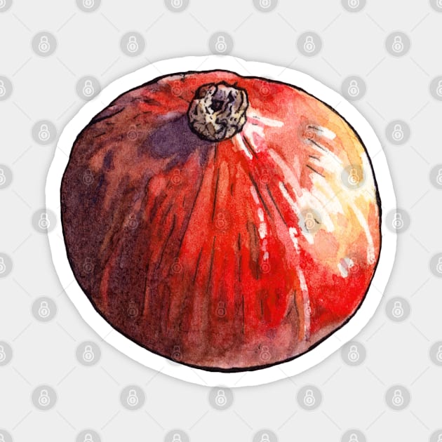 Red kuri squash Magnet by AquarellChill