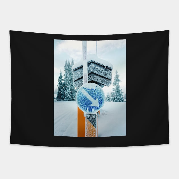 Snow-Covered Traffic Sign in Frozen Winter Landscape in Scandinavia Tapestry by visualspectrum