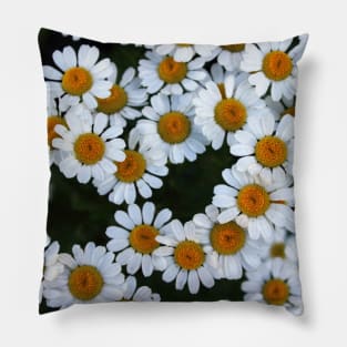 Daisies Pillow