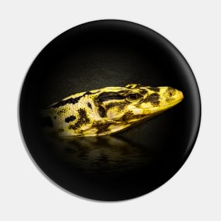 Monitor lizard Pin