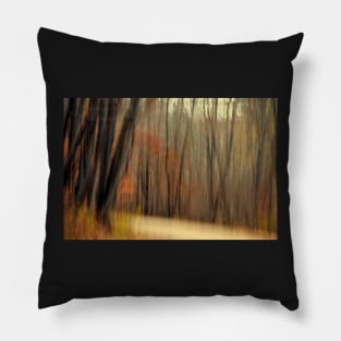 Country Road #3 Pillow