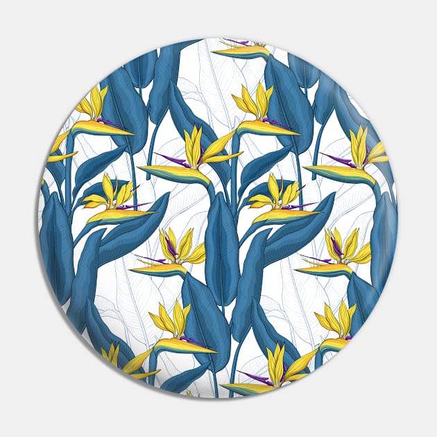 Bird of paradise flowers on white Pin by katerinamk