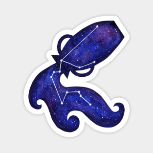 Astrological sign Aquarius constellation Magnet