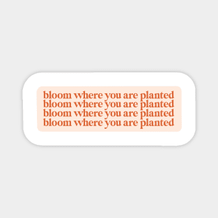 bloom where you are planted Magnet