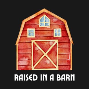 Raised In A barn, country girl T-Shirt