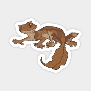 Satanic Leaf-Tailed Gecko Magnet