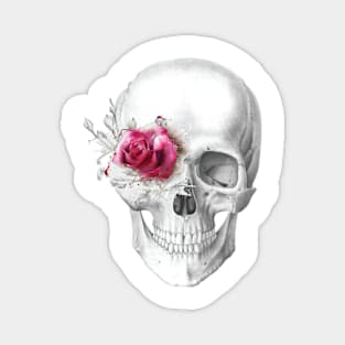 Skull with roses Magnet