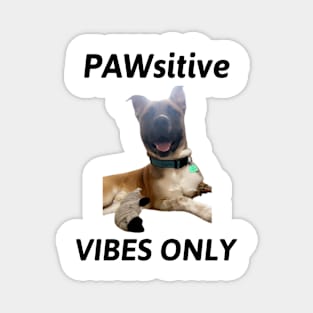 PAWsitive Vibes Only Dog Magnet