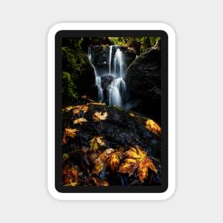 Autumn Waterfall Magnet