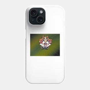 Female Asian spinybacked orbweaver (Thelacantha brevispina) on Maui, Hawaii Phone Case