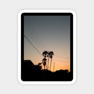 Golden hour palm trees Magnet