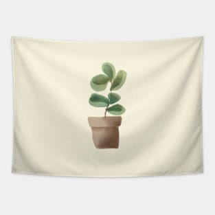 Ficus plant in a pot Tapestry