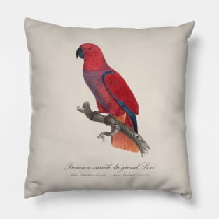 Eclectus Parrot / Premiere variete du grand Lori - 19th century Jacques Barraband Illustration Pillow