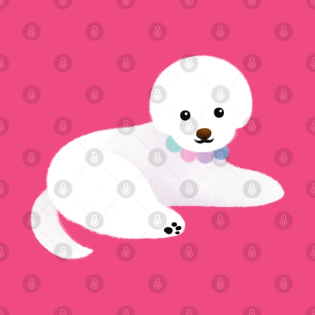 Pom Pom bichon by pikaole