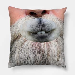 Funny Hairy Fur Face Pillow