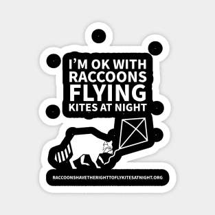 Raccoons have the right to fly kites at night Magnet