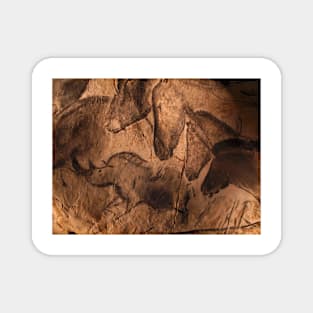 Stone-age cave paintings, Chauvet, France (C009/7647) Magnet