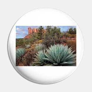 Agave And Coffee Pot Rock Near Sedona Pin