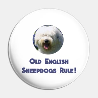 Old English Sheepdogs Rule! Pin