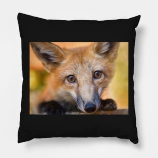 Kit Fox Portrait Pillow