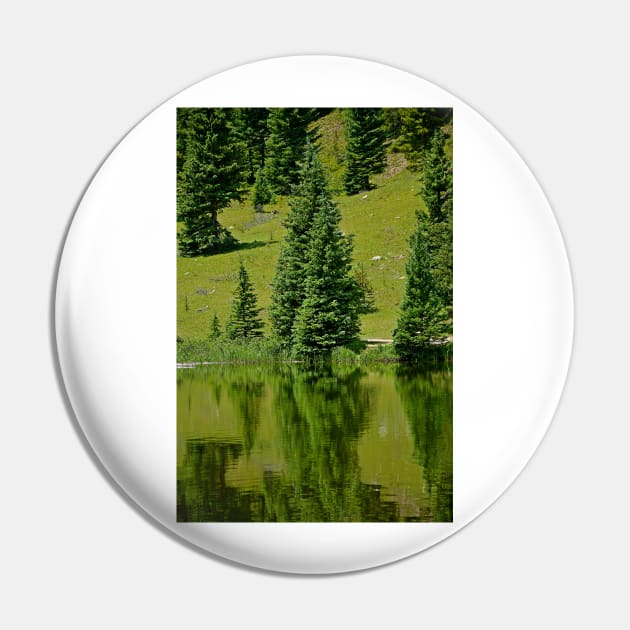 Lake Irene 2018 Study 18 Pin by bobmeyers