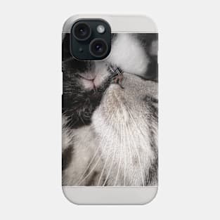 Love mum cat and baby cat Phone Case
