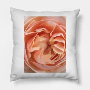 Orange Pink Rose Pillow