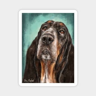 Painting of a Basset Hound Dog Looking Up Turquoise Background Magnet