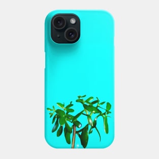 Good Luck Succulent Tree on Sky Blue Phone Case