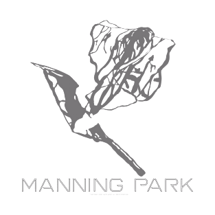 Manning Park Resort 3D T-Shirt