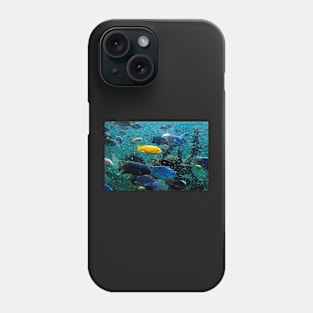 Where's Nemo? Phone Case