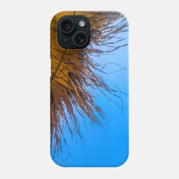 Summer Vibes Phone Case by GRKiT