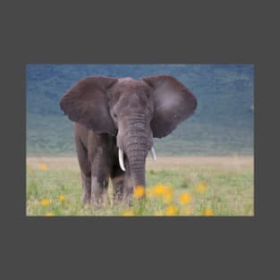 African Bush Elephant T-Shirt