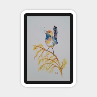 Blue Wren, bird design, bird art Magnet