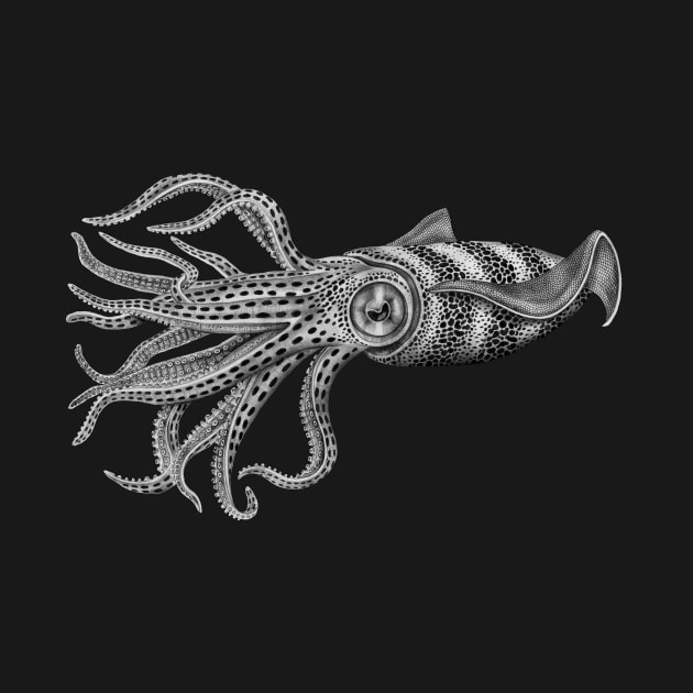 Squid by Tim Jeffs Art