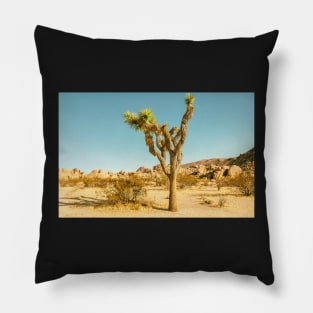 Southwest Desert Pillow