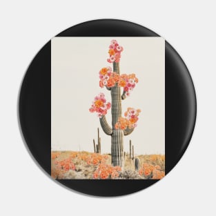 Cactus in desert with flowers Pin