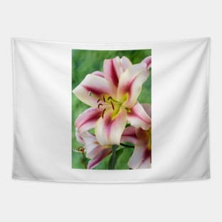 Lilium Lily Tapestry