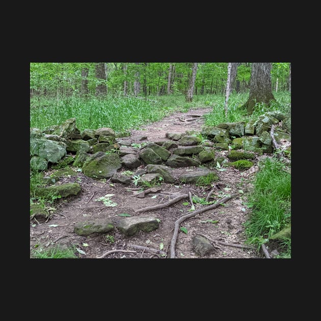 Old Stonewall on a Hiking Trail Photographic Image by AustaArt