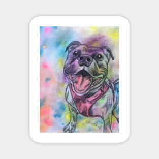 Staffordshire Bull Terrier Rainbow Magnet