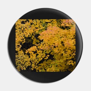 Autumn Golden Maple Pin