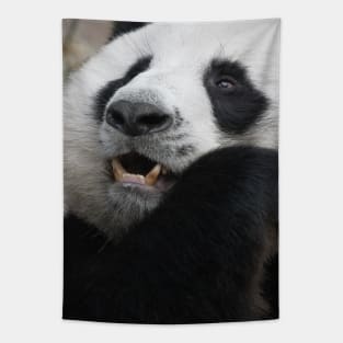 Giant Panda bear Tapestry