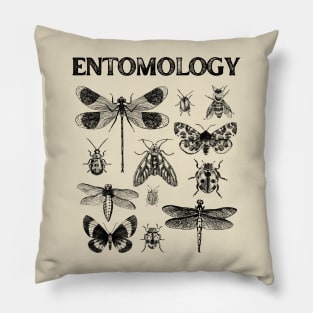 Entomology Vintage Bugs Pillow