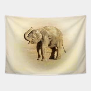 Baby elephant Tapestry