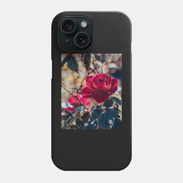 Blooming Rose Phone Case by RenataCacaoPhotography