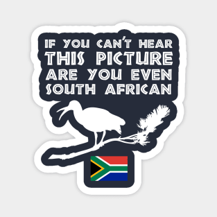 South Africa Hadeda Funny Alarm Magnet