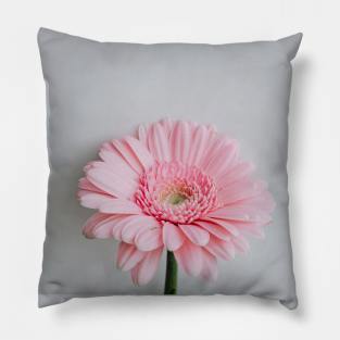 Pink Rose Flower poster Pillow