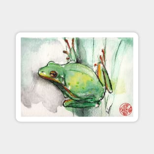 Green Tree Frog - watercolor and prisma pencil painting Magnet