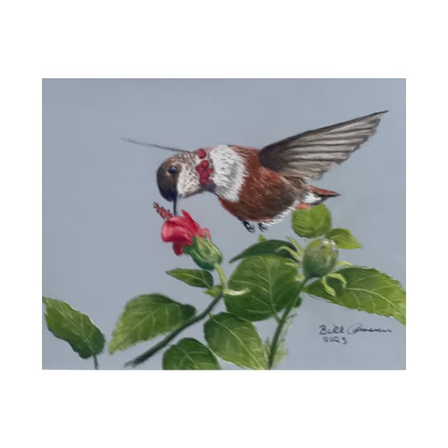 Rufous Hummingbird by Bill Cameron Fine Art