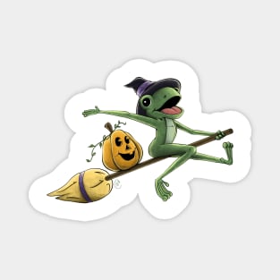 Frog Witch Magnet